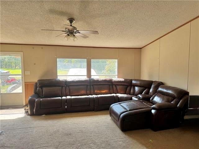 1174 Highway 115 Deville, LA 71328 - Photo 3 of 20