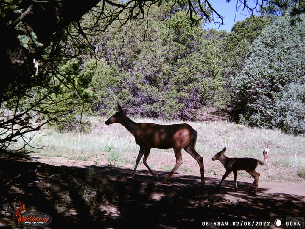0 Co Road Trinidad, CO 81082 - Photo 46 of 64 Gallery Image 46