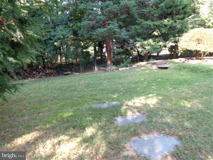 82 Maple Road Huntingdon Valley, PA 19006 - Photo 16 of 19 Back Yard