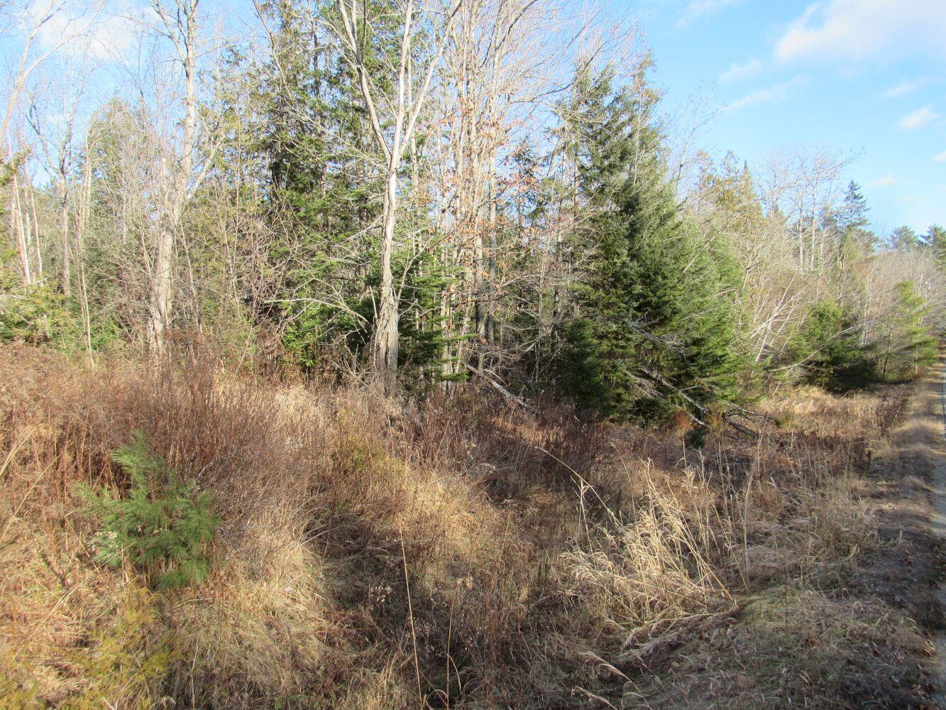 M5-l2 Parkman Road Wellington, ME 04942 - Photo 35 of 35 #35