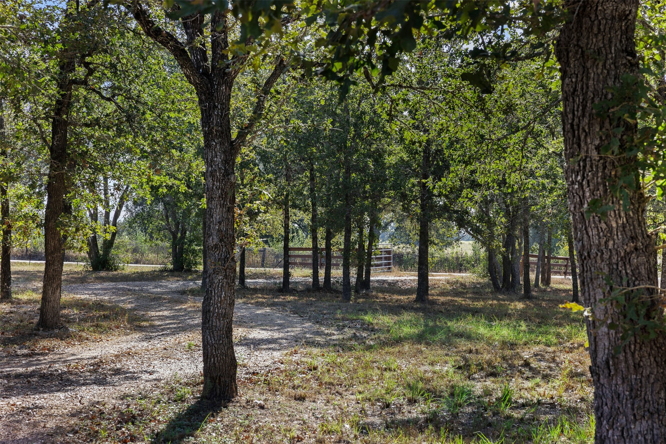 5501 Mach Road La Grange, TX 78945 - Photo 30 of 45 Gallery Image 30