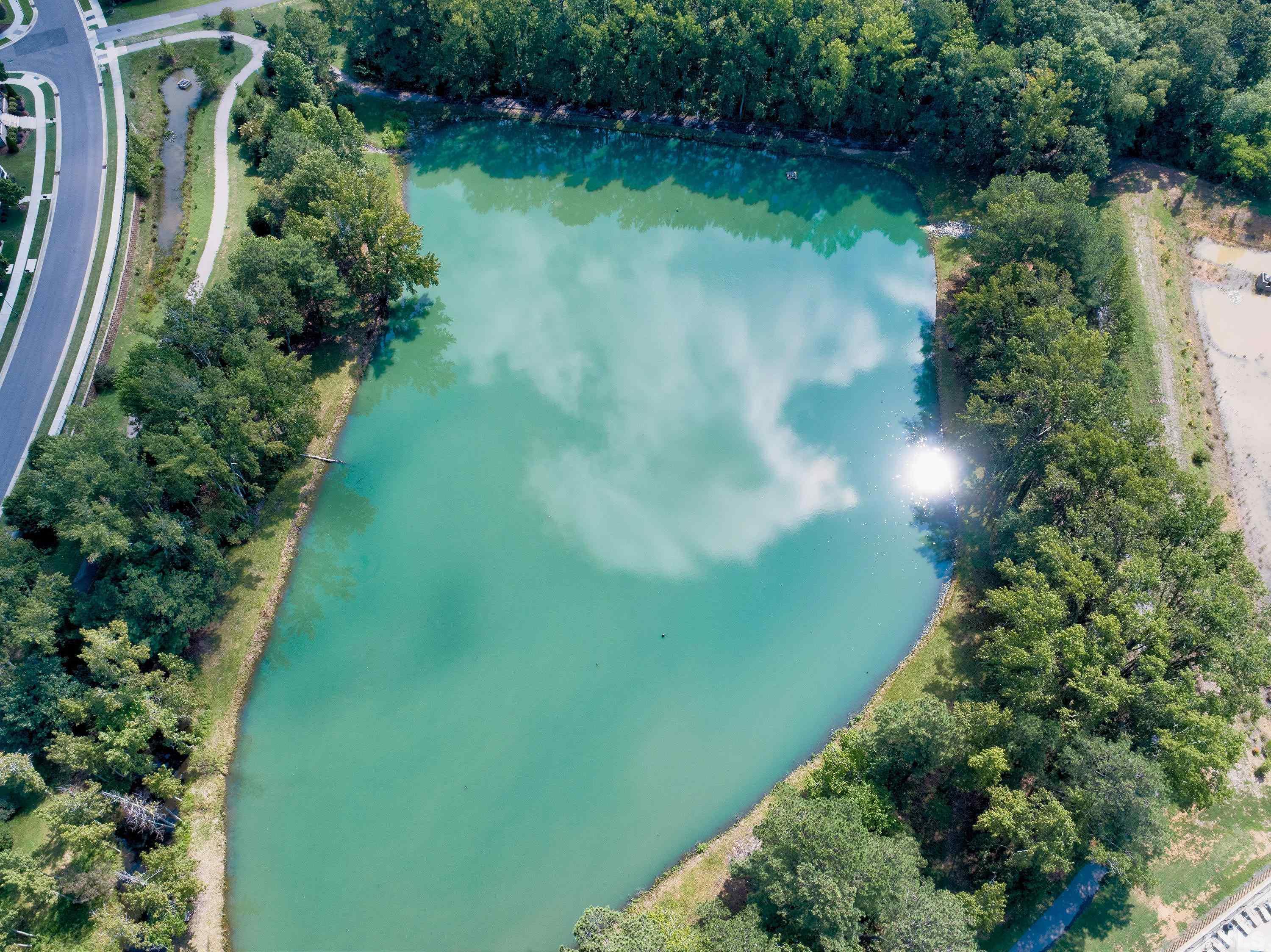 1001 Ambergate Station Apex, NC 27502 - Photo 45 of 49 a view of a garden with a lake