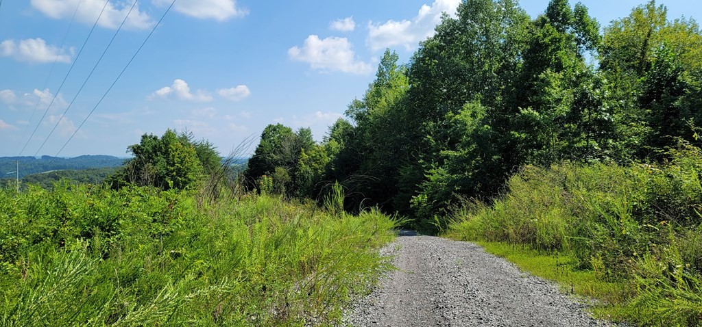 0 Back Valley Road Dayton, TN 37321 - Photo 3 of 20