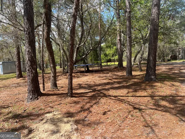 a view of a backyard with large trees