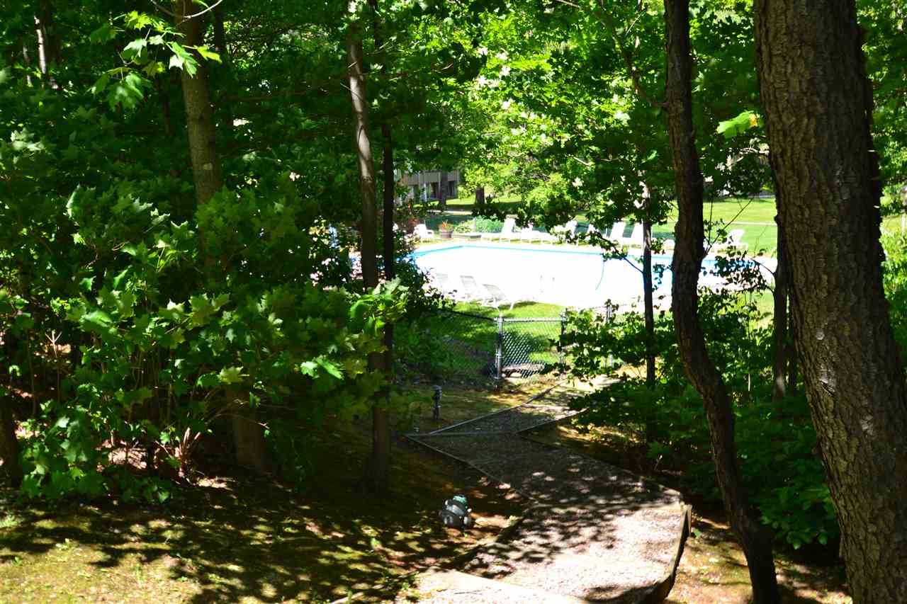 Drumleys South Road, Unit 3 Warren, VT 05674 - Photo 24 of 28 Gallery Image 24