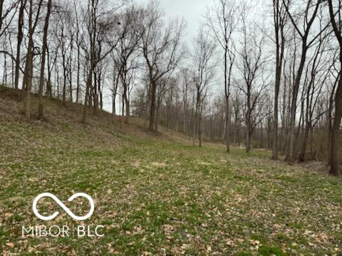 5414 Gibbs Road Plainfield, IN 46168 - Photo 2 of 4