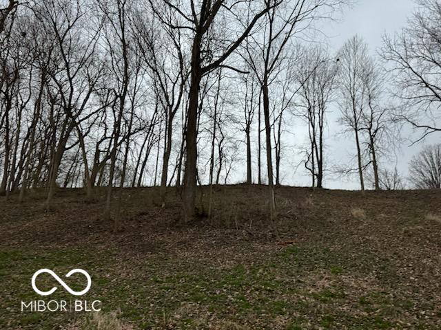 5414 Gibbs Road Plainfield, IN 46168 - Photo 3 of 4