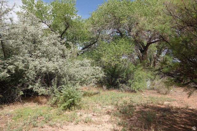 4500 South Notom Road Torrey, UT 84775 - Photo 11 of 13 Gallery Image 11