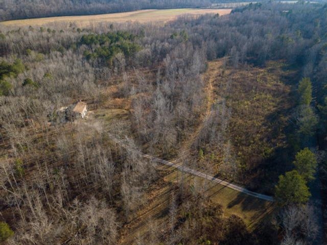 1110 Small Road Morris Chapel, TN 38361 - Photo 15 of 25 a view of a dry yard