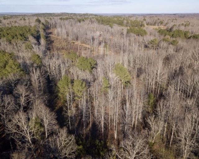 1110 Small Road Morris Chapel, TN 38361 - Photo 16 of 25 a view of a forest with trees in the background