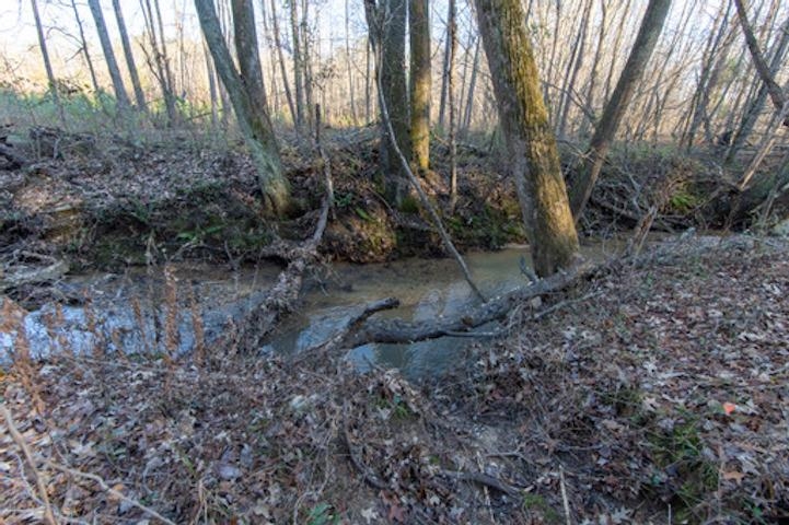 1110 Small Road Morris Chapel, TN 38361 - Photo 18 of 25 a view of a yard with plants and trees