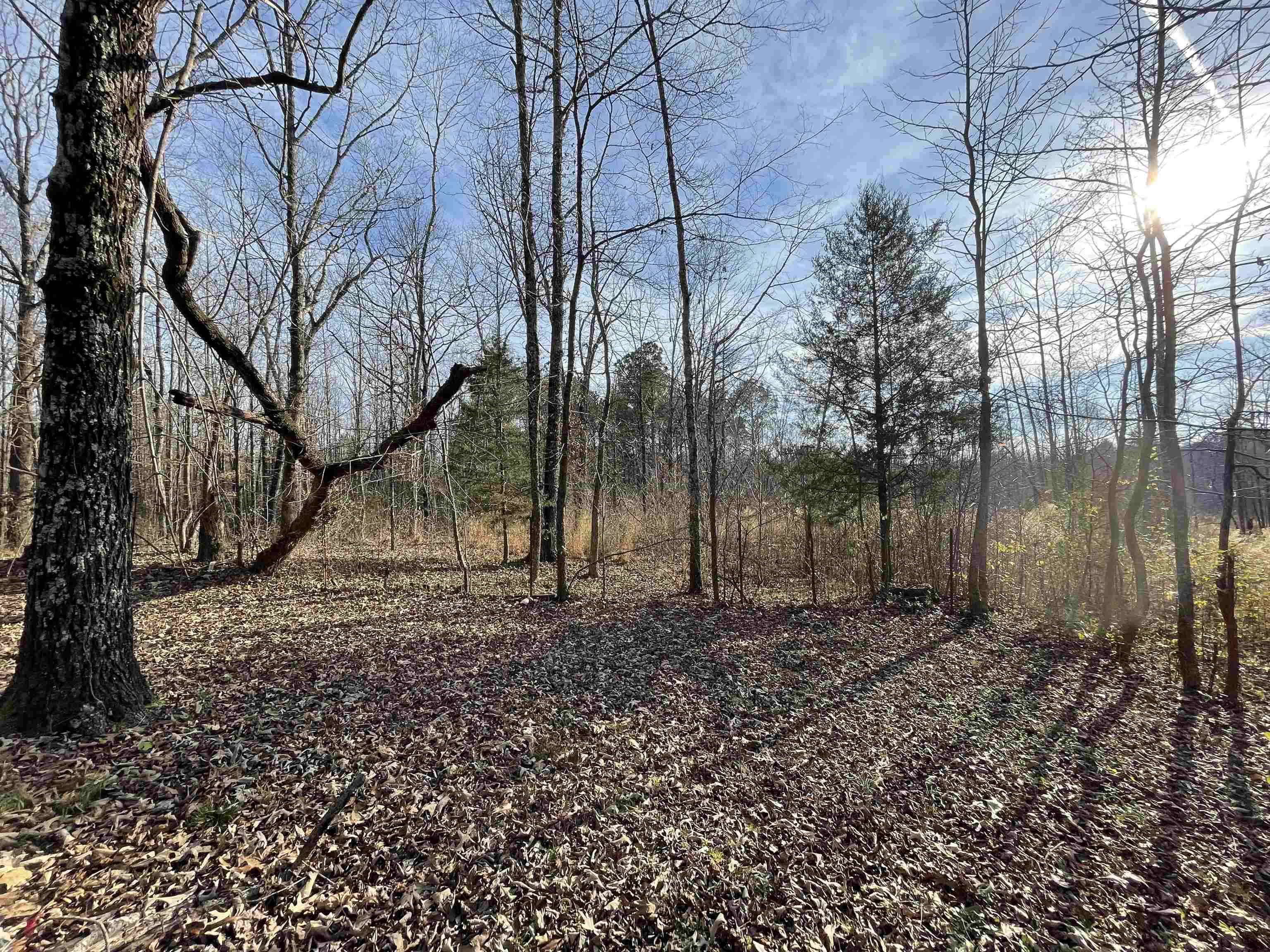 1110 Small Road Morris Chapel, TN 38361 - Photo 19 of 25 a backyard of a house with lots of green space