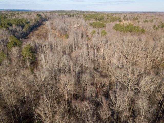 1110 Small Road Morris Chapel, TN 38361 - Photo 21 of 25 a view of mountain with lake view