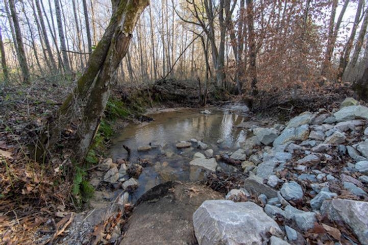 1110 Small Road Morris Chapel, TN 38361 - Photo 22 of 25 a view of a yard with a tree