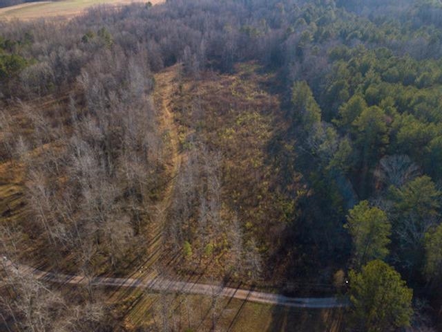 1110 Small Road Morris Chapel, TN 38361 - Photo 23 of 25 a view of a dry yard