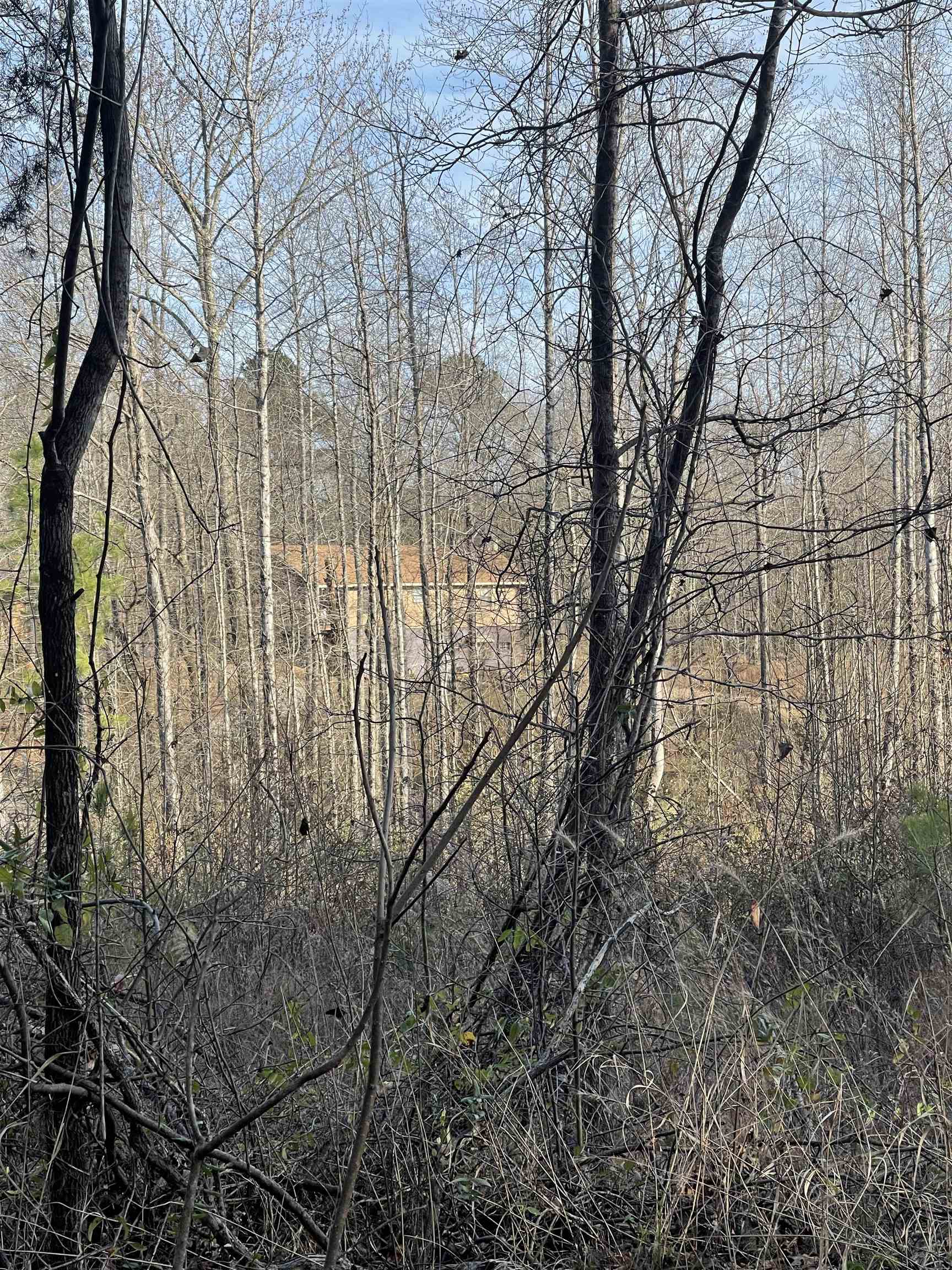 1110 Small Road Morris Chapel, TN 38361 - Photo 24 of 25