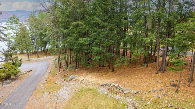 $4,000,000 | L6.2 Lake Shore Drive, Kattskill Bay, NY 12844