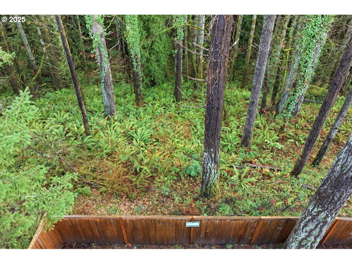 8565 Southwest 176th Avenue Beaverton, OR 97007 - Photo 34 of 39 a view of backyard with green space