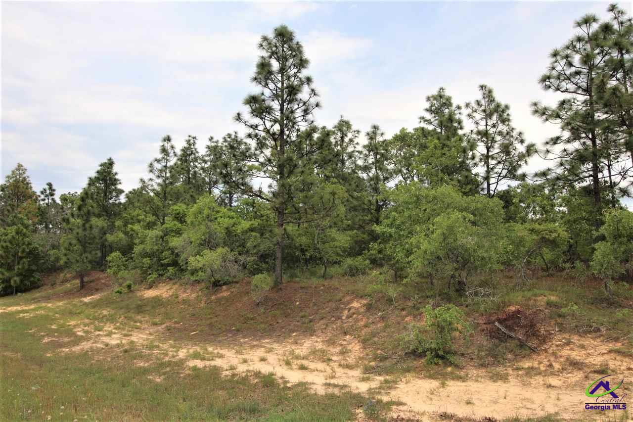 0 Pineknot Road Box Springs, GA 31801 - Photo 3 of 12