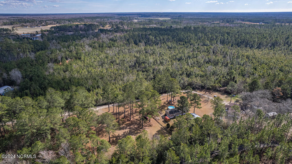 0 Hallsboro Road South Whiteville, NC 28472 - Photo 12 of 27 12