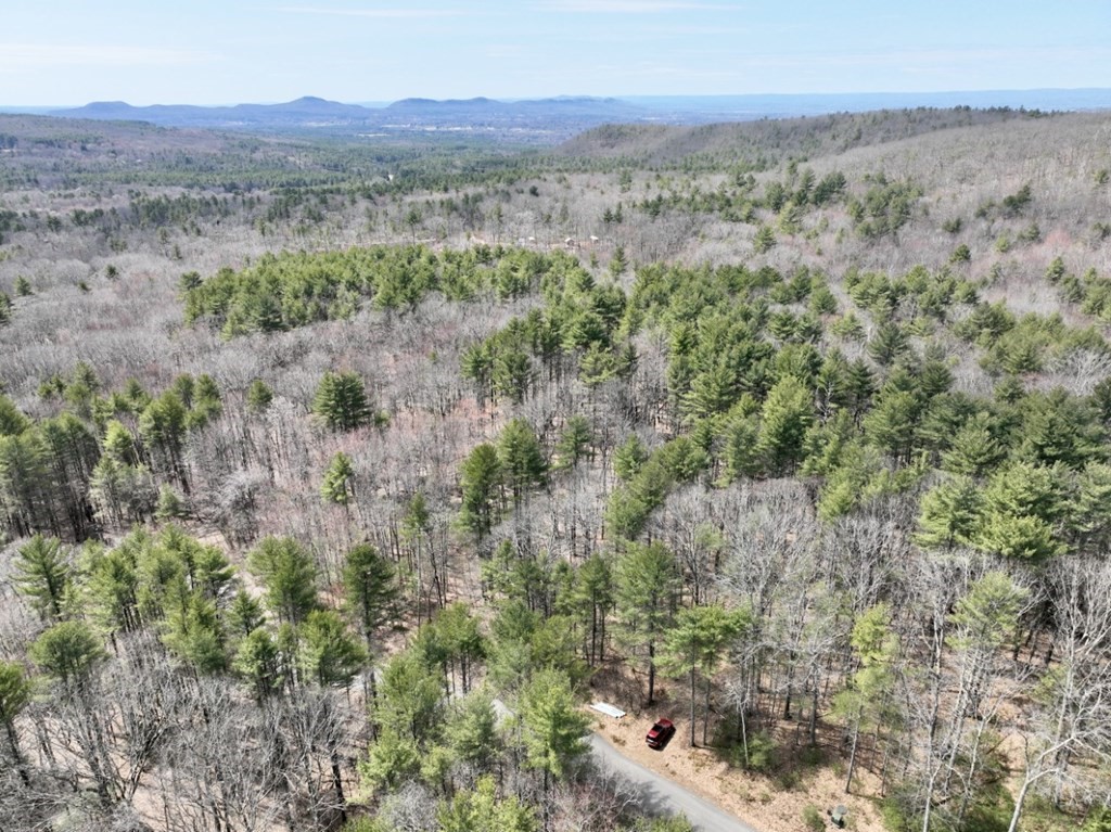58 Buffam Road Pelham, MA 01002 - Photo 8 of 11 a view of a forest with mountains in the background