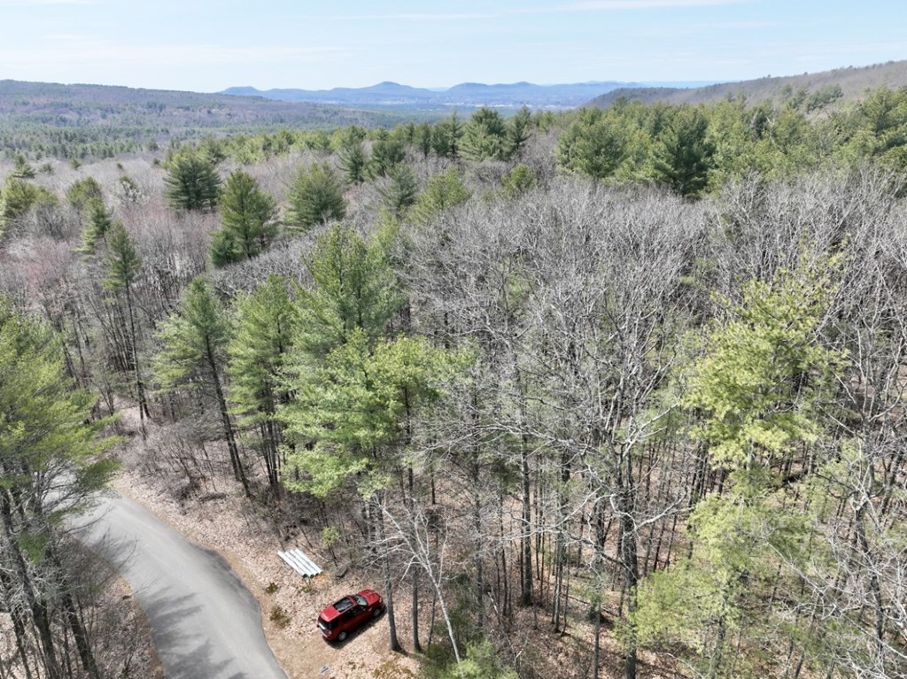 58 Buffam Road Pelham, MA 01002 - Photo 10 of 11 a view of a city with lush green forest