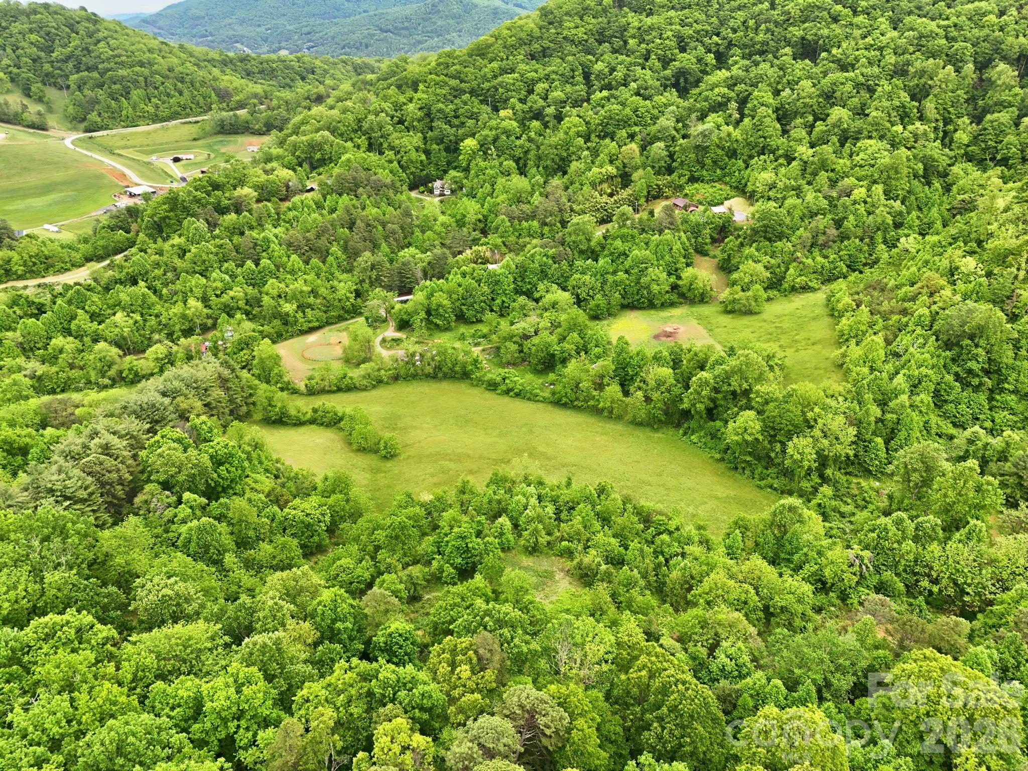250 Potato Branch Road Leicester, NC 28748 - Photo 42 of 48