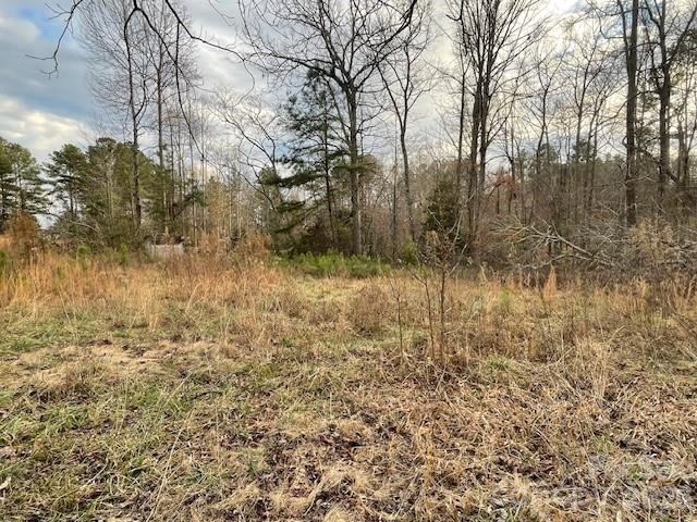 593 Brooks Road Bostic, NC 28018 - Photo 12 of 17 a view of a yard with large trees