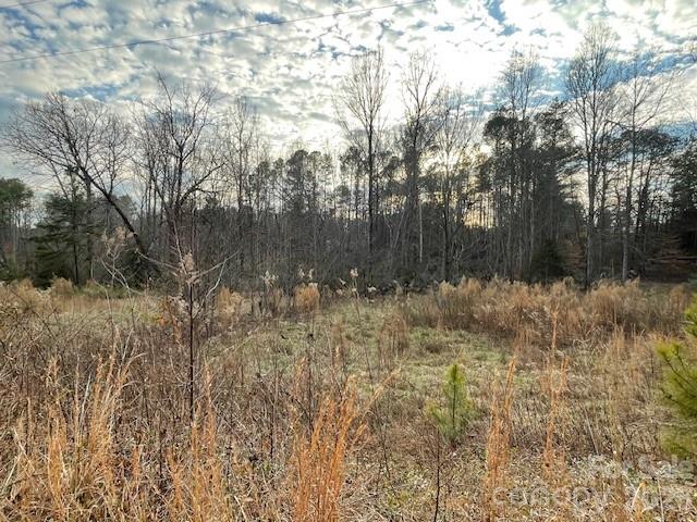 593 Brooks Road Bostic, NC 28018 - Photo 16 of 17 a view of a yard
