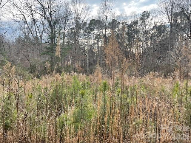 593 Brooks Road Bostic, NC 28018 - Photo 2 of 17 a view of forest