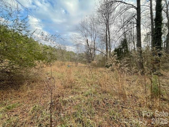 593 Brooks Road Bostic, NC 28018 - Photo 3 of 17 a view of a yard covered with snow
