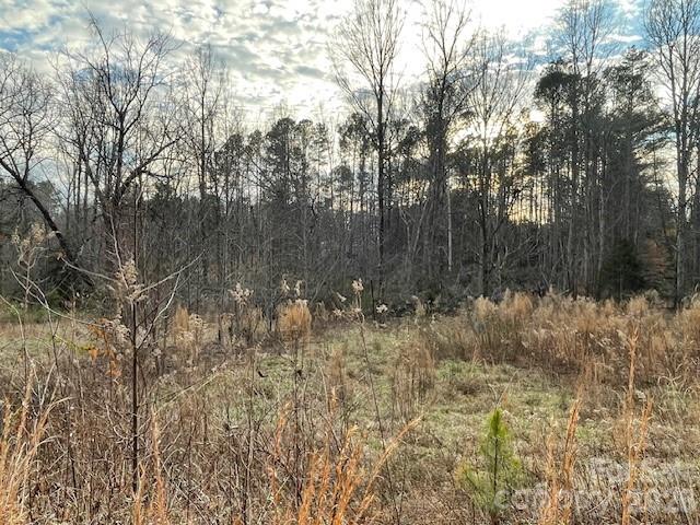 593 Brooks Road Bostic, NC 28018 - Photo 5 of 17 a view of forest