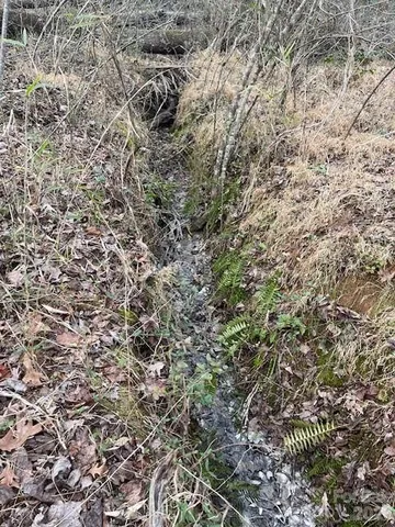 $44,400 | 593 Brooks Road, Bostic, NC 28018