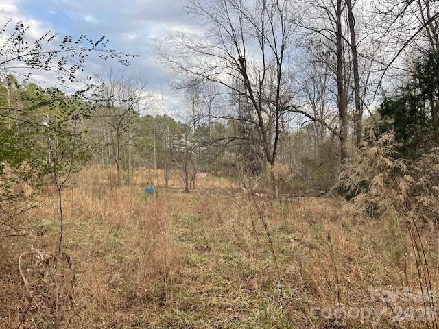 593 Brooks Road Bostic, NC 28018 - Photo 8 of 17 a view of a yard with trees