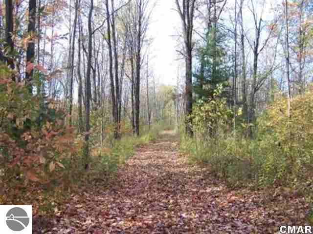 1000 South Loomis Road Mount Pleasant, MI 48858 - Photo 1 of 9 1764994.JPG