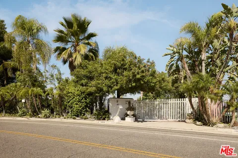 a view of a yard with plants and trees