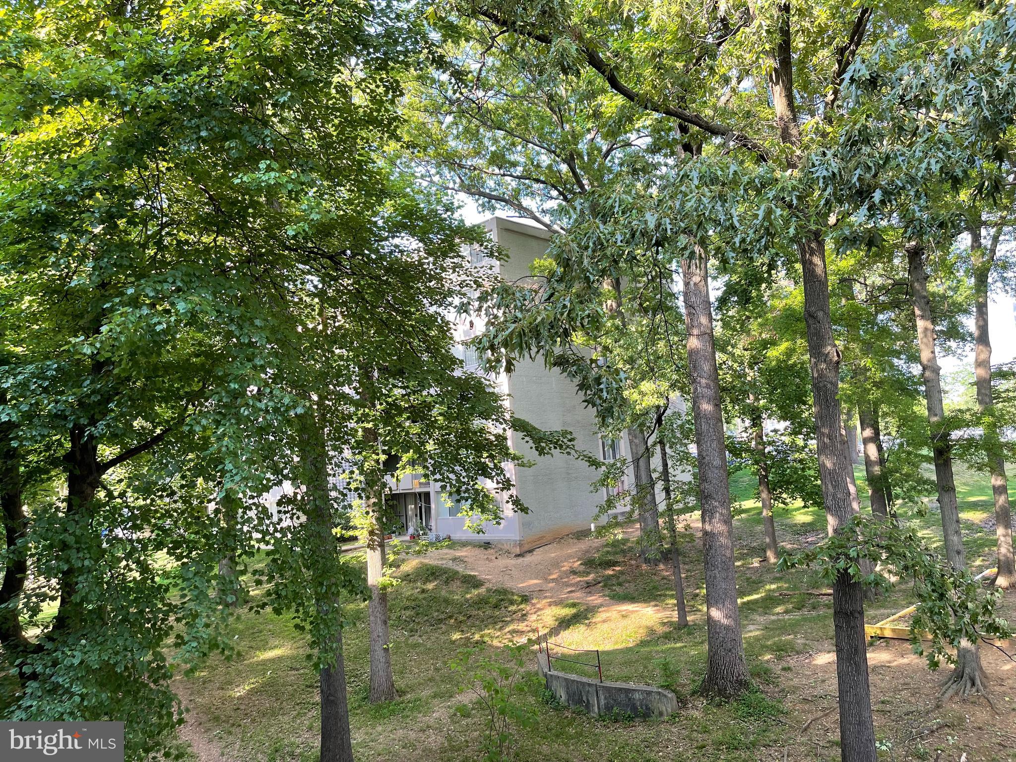 1804 Metzerott Road, Unit 308 Adelphi, MD 20783 - Photo 28 of 30 Nice view.