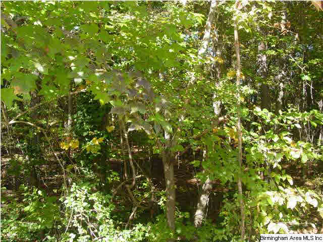 Old Choccolocco Road, Unit 73 Anniston, AL 36207 - Photo 4 of 30