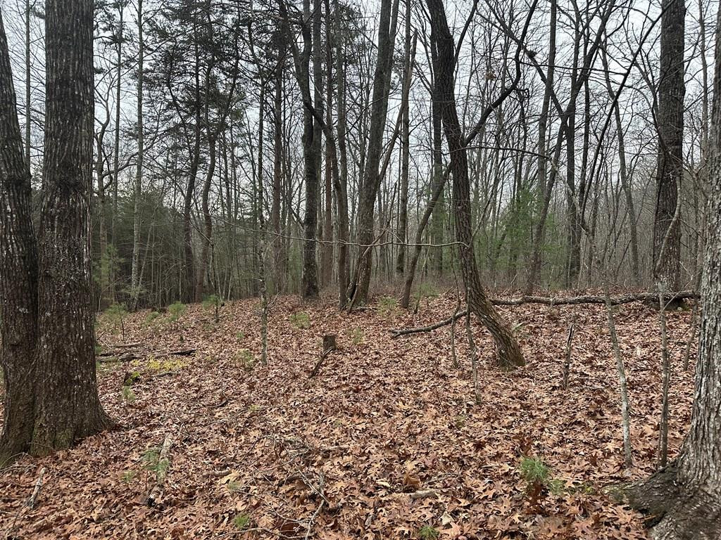 0 Marrestop Road Murphy, NC 28906 - Photo 1 of 14 Main View