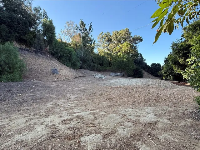 a view of a dirt road with trees in the background