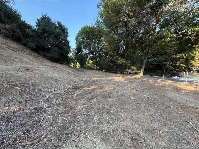 a view of a yard with a tree