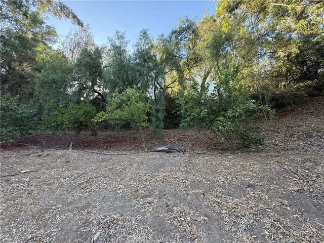 a view of a yard with a tree