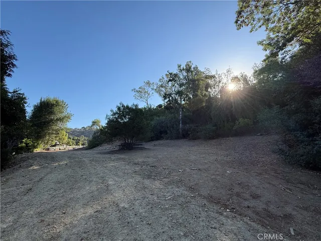 a view of a yard with a tree