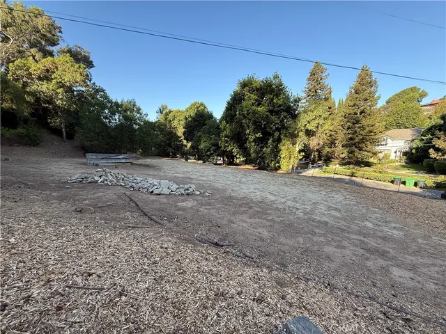 a view of a yard with plants and trees