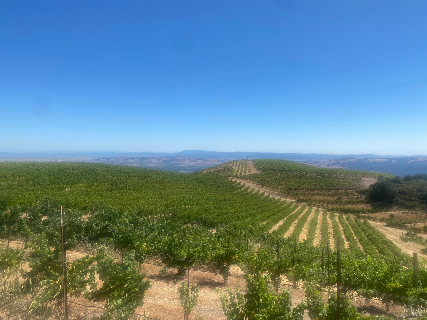 4420 Cavedale Road Sonoma, CA 95476 - Photo 24 of 25 Neighboring vineyard views and driving experience.