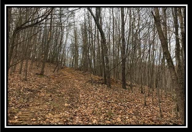 40 Dougan Road Patriot, OH 45658 - Photo 6 of 15