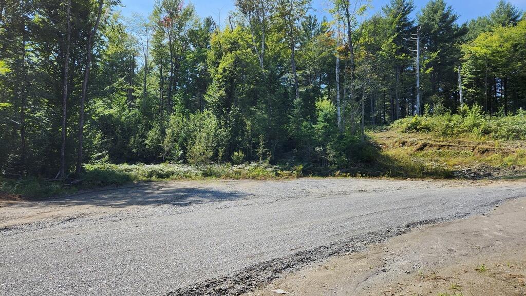 Lot 32 Rt 148 Starks, ME 04911 - Photo 12 of 17 20240827_132850_resized