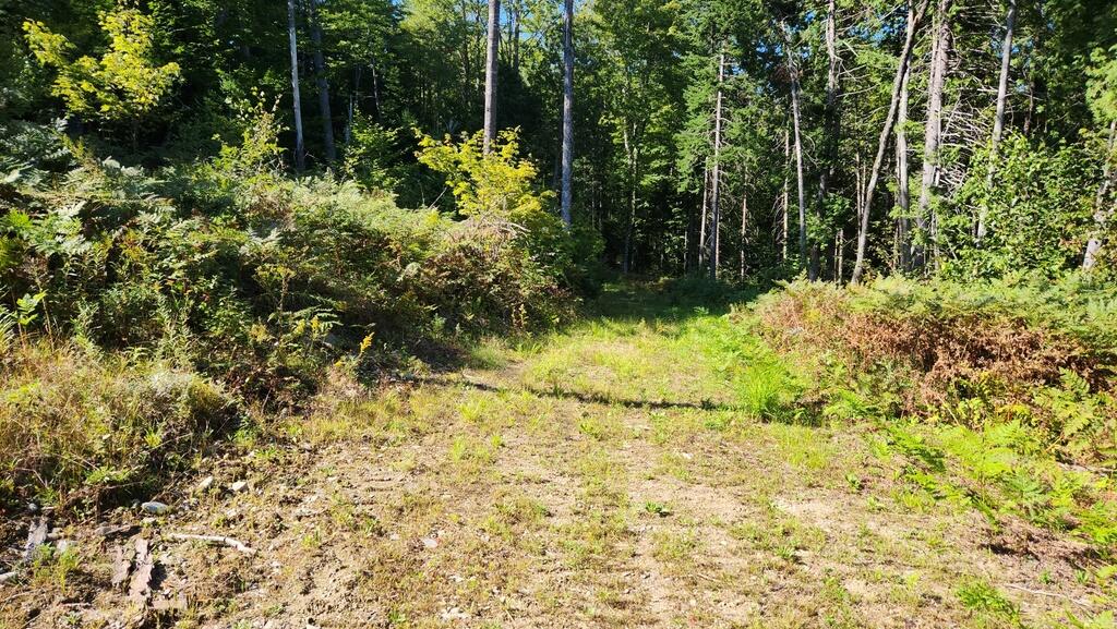 Lot 32 Rt 148 Starks, ME 04911 - Photo 3 of 17 20240903_151011_resized_1
