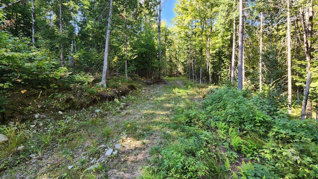 Lot 32 Rt 148 Starks, ME 04911 - Photo 4 of 17 20240903_151056_resized_1