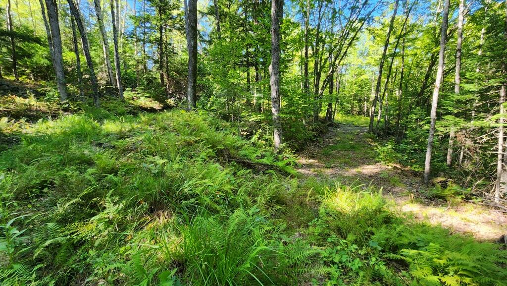 Lot 32 Rt 148 Starks, ME 04911 - Photo 6 of 17 20240903_151242_resized